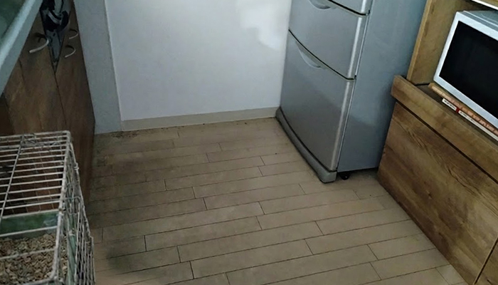 新潟県長岡市の、ペットの多頭崩壊現場の特殊清掃の事例