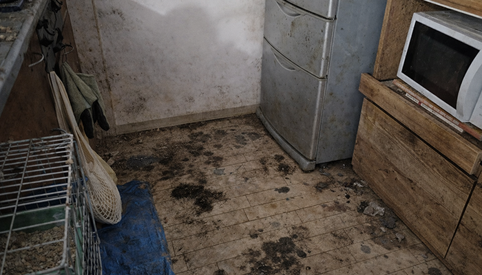 新潟県長岡市の、ペットの多頭崩壊現場の特殊清掃の事例